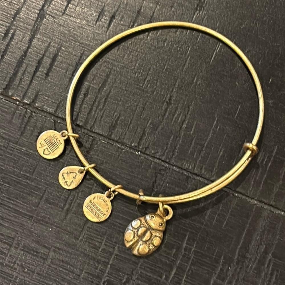 Alex and Ani Goldtone Adjustable Bangle Ladybug Charm Bracelet